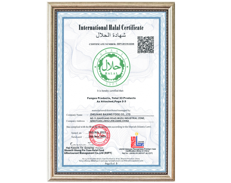 ZHEJIANG BAIXING-HALAL CERT.jpg